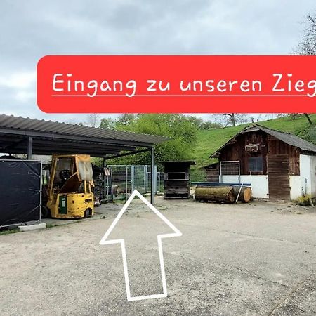 Ferienwohnung/Monteurzimmer Auf Dem Bauernhof Mörlenbach المظهر الخارجي الصورة