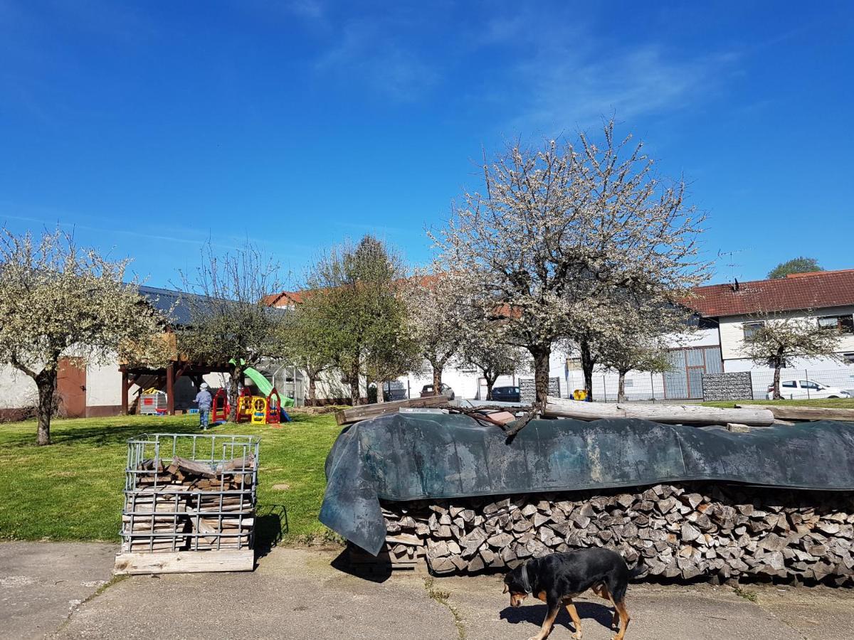 Ferienwohnung/Monteurzimmer Auf Dem Bauernhof Mörlenbach المظهر الخارجي الصورة