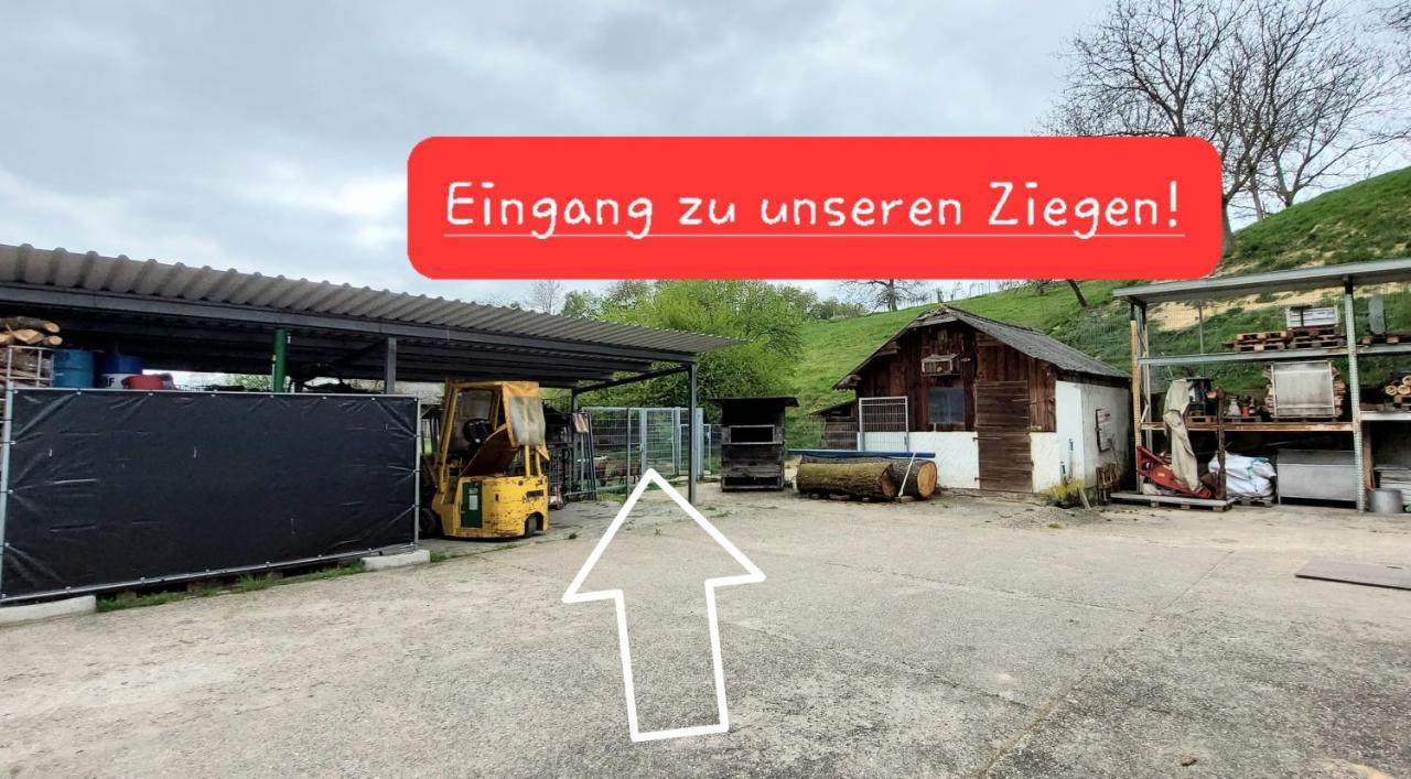 Ferienwohnung/Monteurzimmer Auf Dem Bauernhof Mörlenbach المظهر الخارجي الصورة