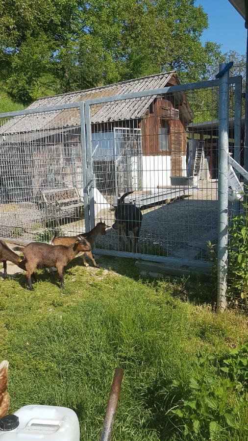 Ferienwohnung/Monteurzimmer Auf Dem Bauernhof Mörlenbach المظهر الخارجي الصورة